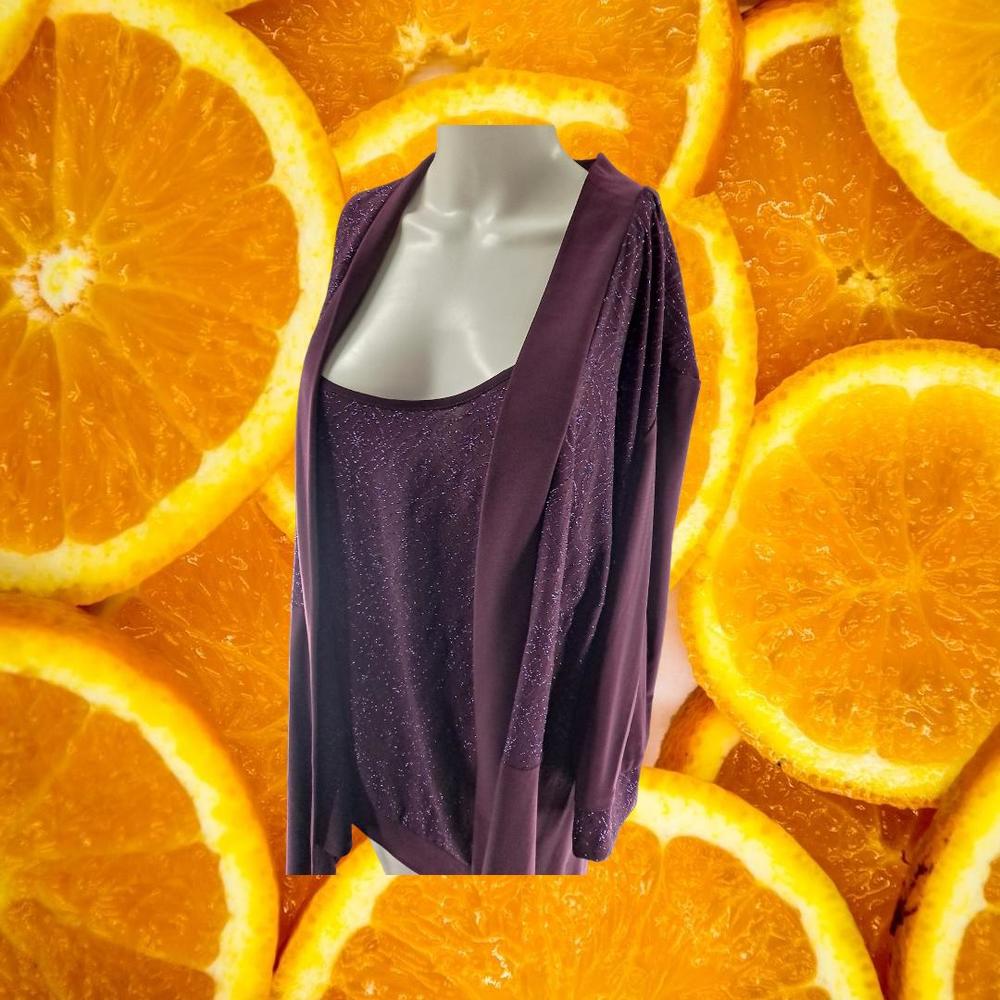 R&M Richards Purple with‎ Sparkles Top Size 22W